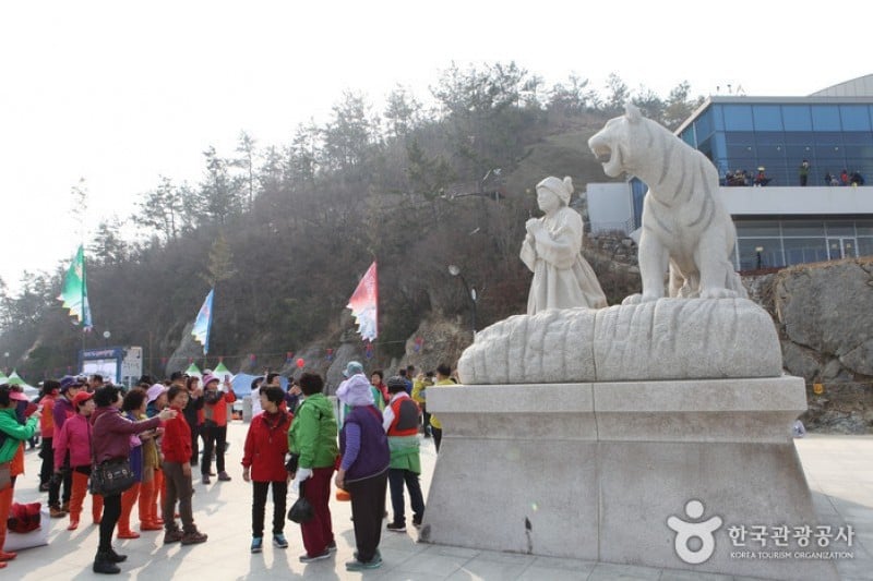 Jindo Miracle Sea Road Festival 