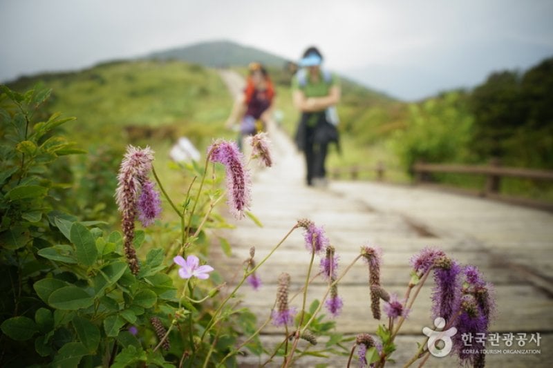 Jirisan National Park  (4/12)