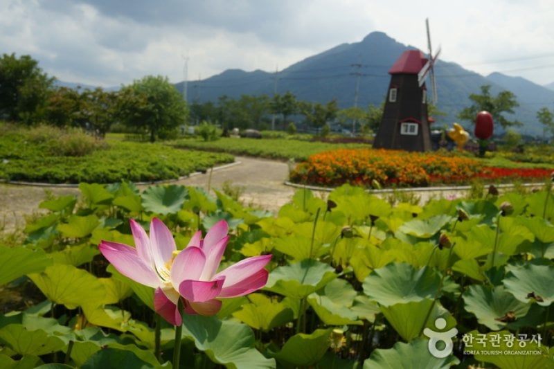 Jirisan National Park  (11/12)