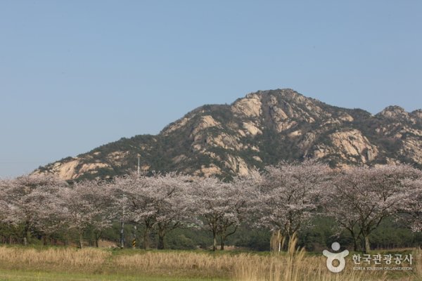 Wolchulsan National Park