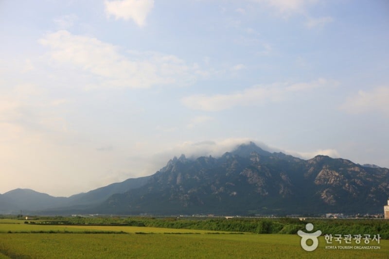 Wolchulsan National Park  (7/7)