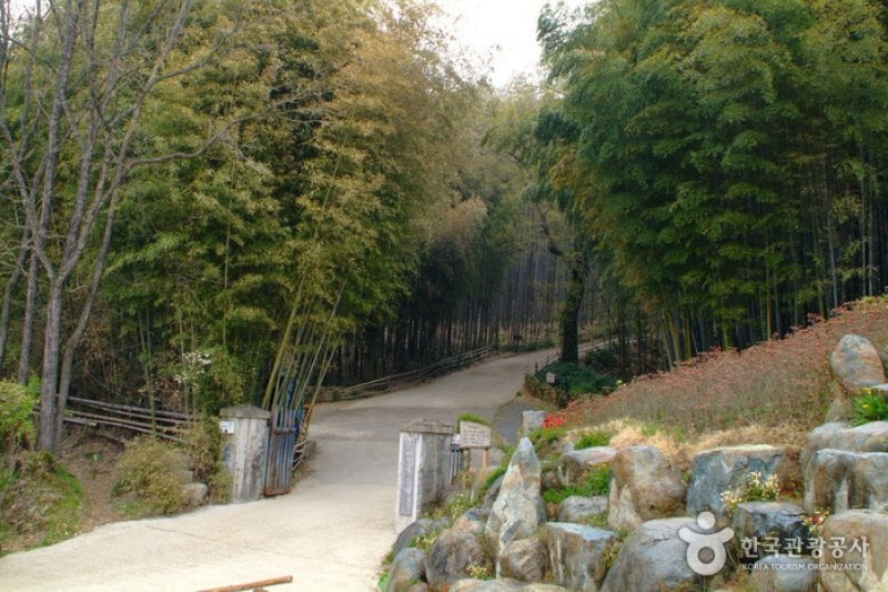 Daenamugol Bamboo Park 