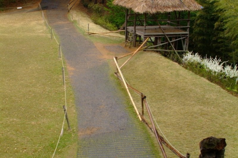 Daenamugol Bamboo Park 