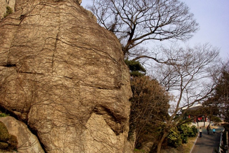 Yudalsan Mountain  (10/17)
