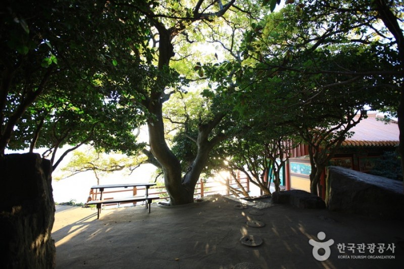 Hyangiram Hermitage  (19/35)