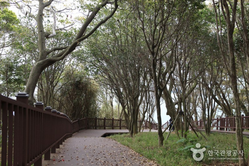 Odongdo Island  (3/20)