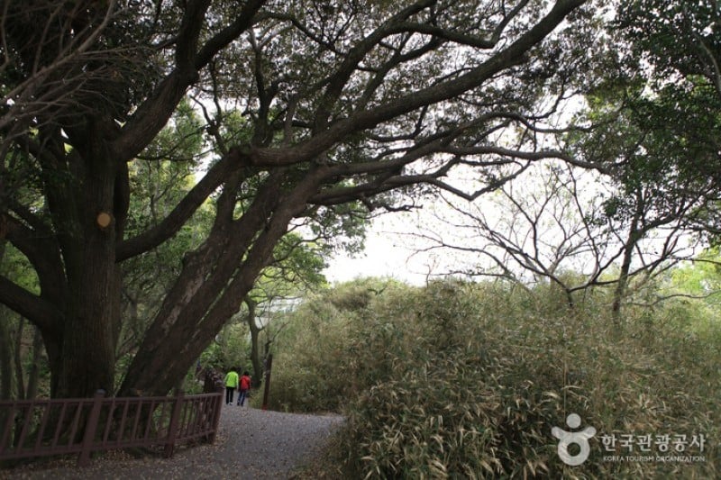 Odongdo Island  (4/20)