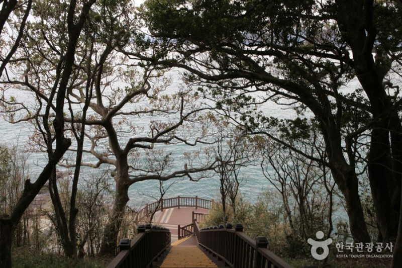 Odongdo Island  (8/20)