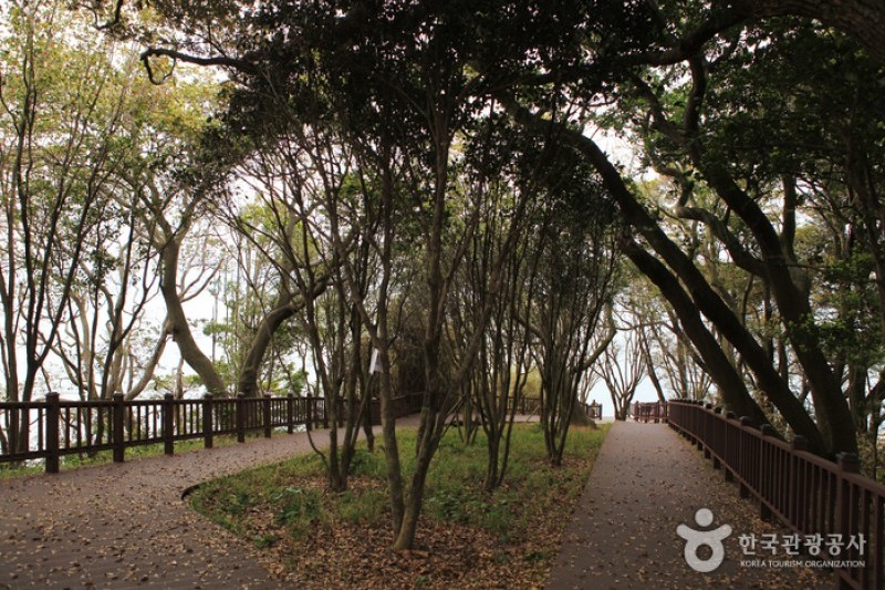 Odongdo Island  (12/20)