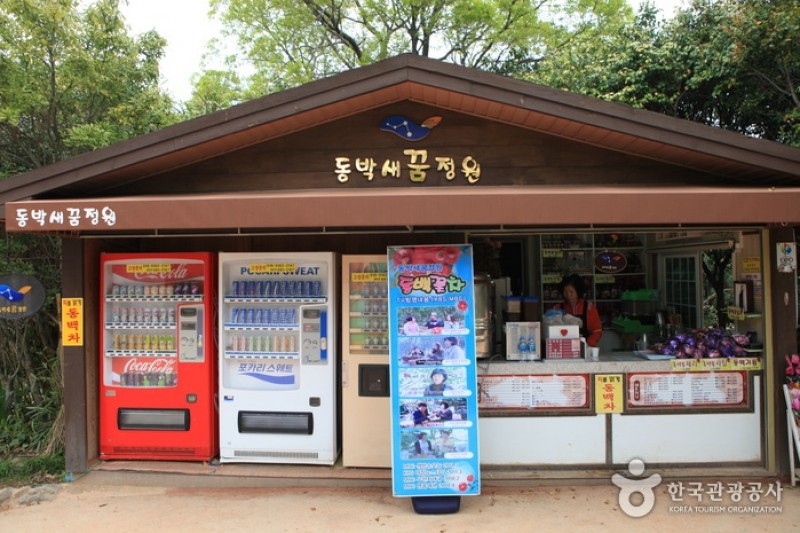 Odongdo Island  (13/20)