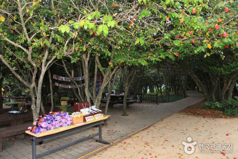 Odongdo Island  (14/20)