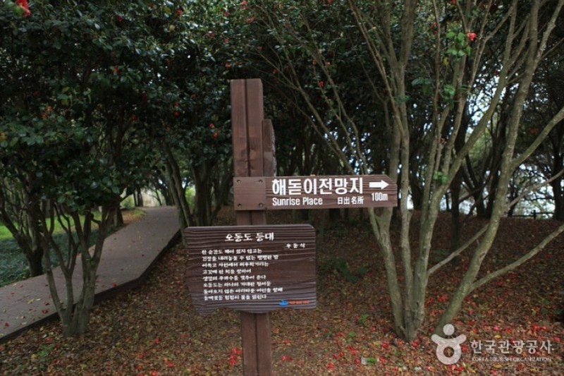 Odongdo Island  (15/20)
