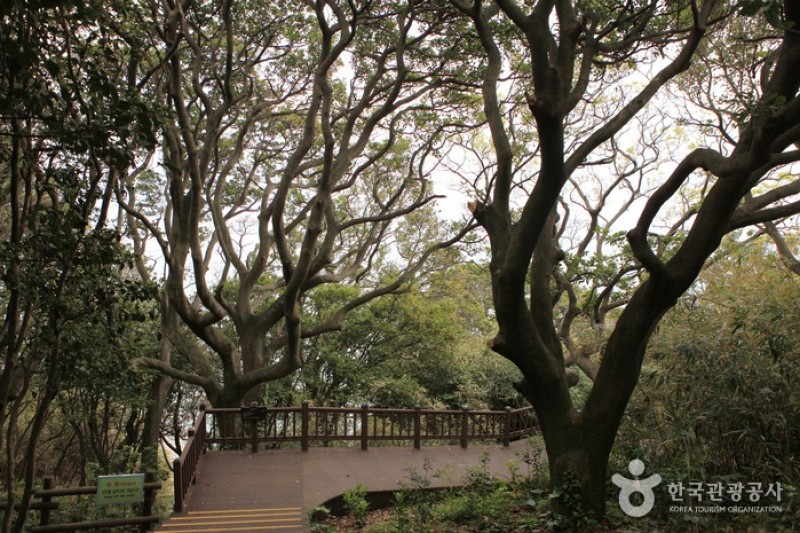 Odongdo Island  (16/20)