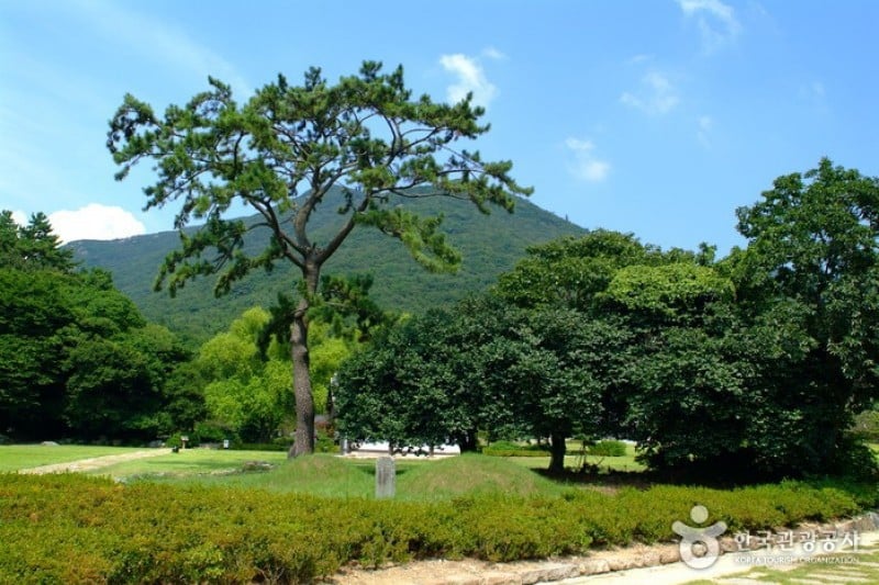 Ullimsanbang House  (2/7)