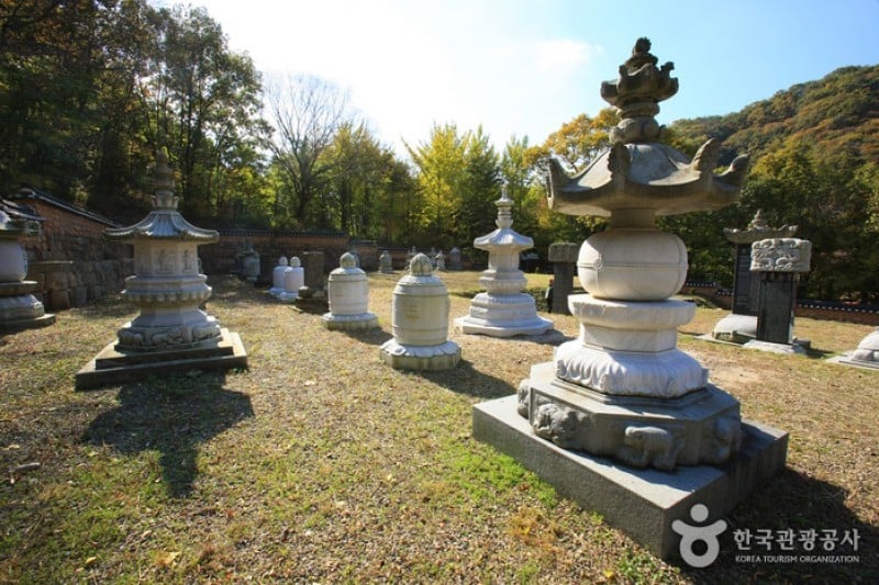 Baekyangsa Temple  (2/19)