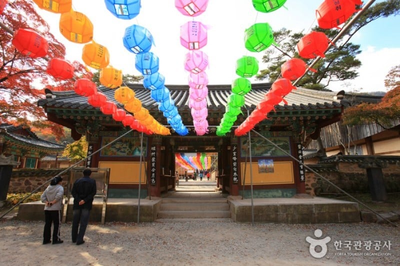 Baekyangsa Temple  (6/19)