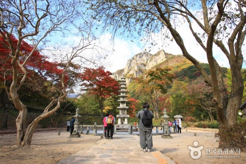 Baekyangsa Temple  (8/19)