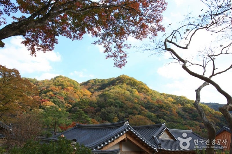 Baekyangsa Temple  (9/19)