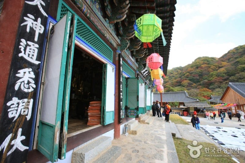 Baekyangsa Temple  (11/19)