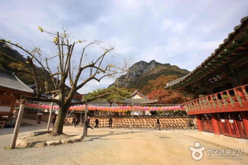 Baekyangsa Temple  (16/19)