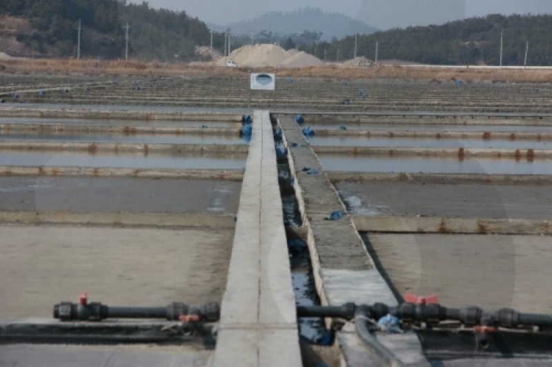 Taepyeong Salt Farm  (4/5)