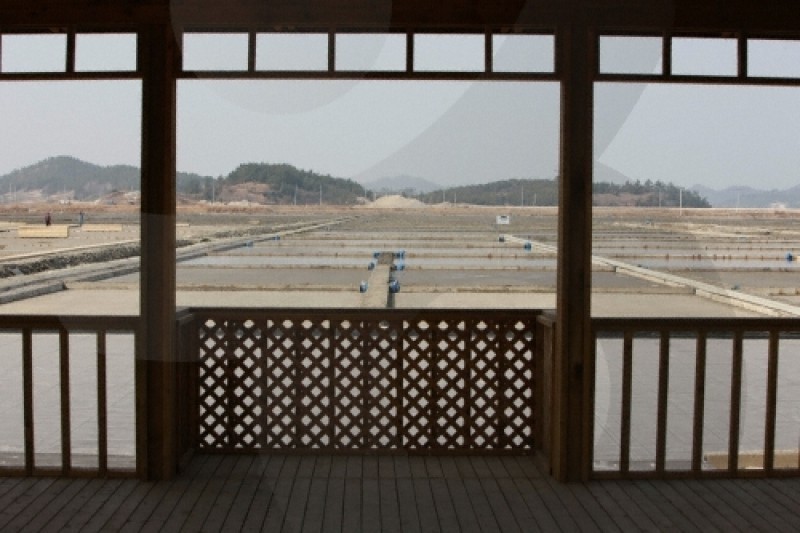 Taepyeong Salt Farm  (5/5)