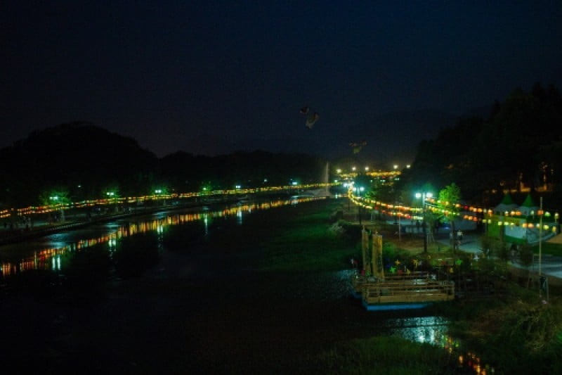 Damyang Bamboo Festival  (1/15)