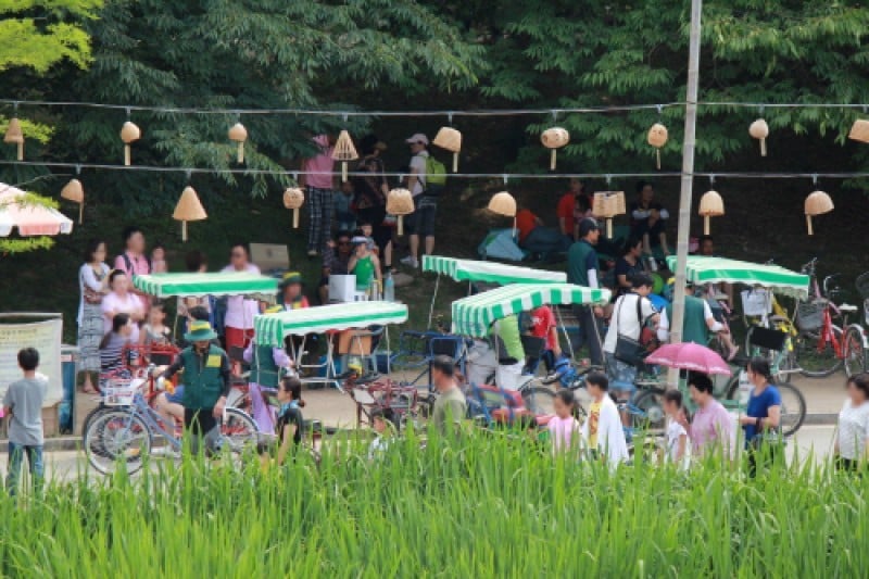 Damyang Bamboo Festival  (5/15)