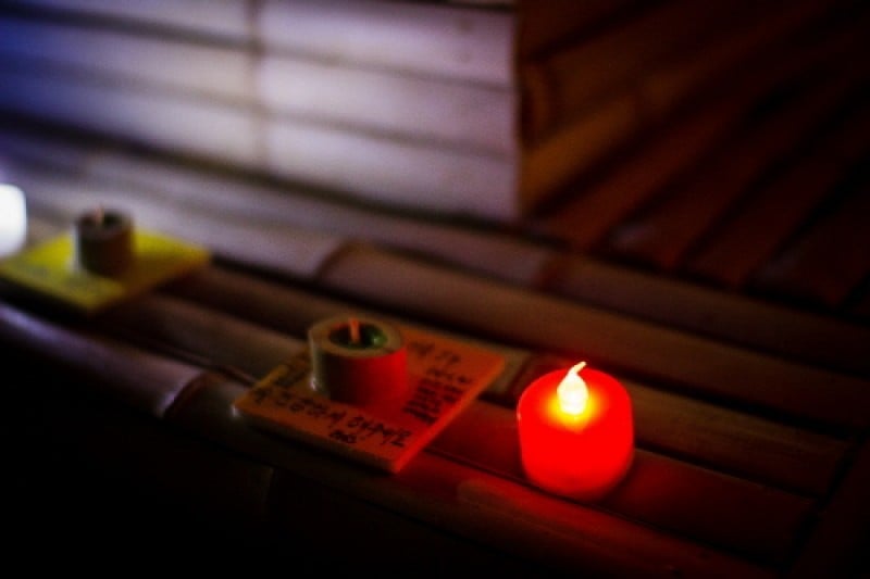 Damyang Bamboo Festival  (7/15)