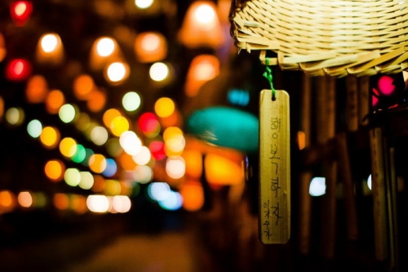 Damyang Bamboo Festival  (8/15)