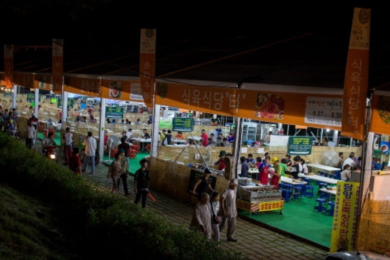 Damyang Bamboo Festival  (12/15)
