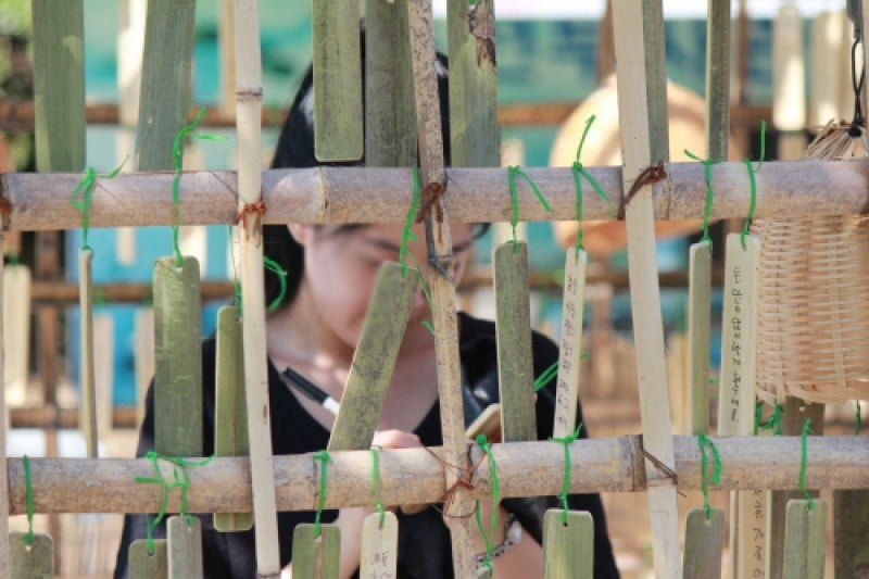 Damyang Bamboo Festival  (13/15)