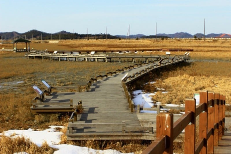 Jeungdo Island [A Slow City]  (2/10)