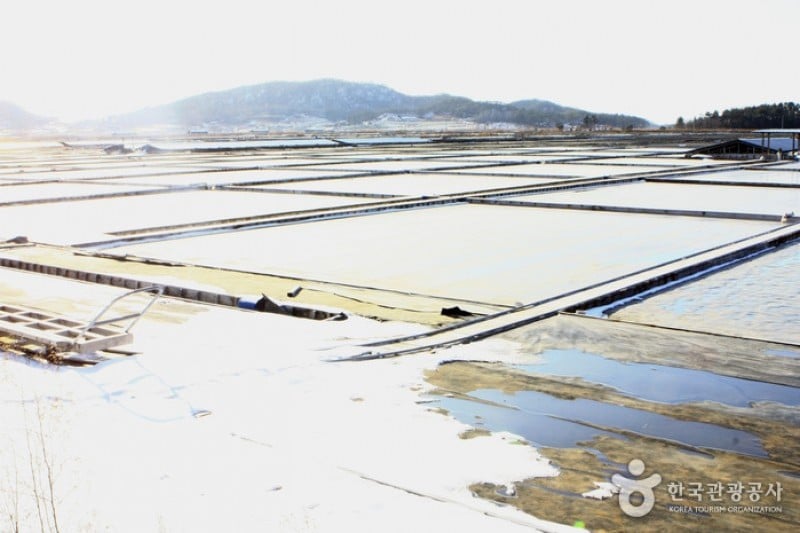 Jeungdo Island [A Slow City]  (3/10)