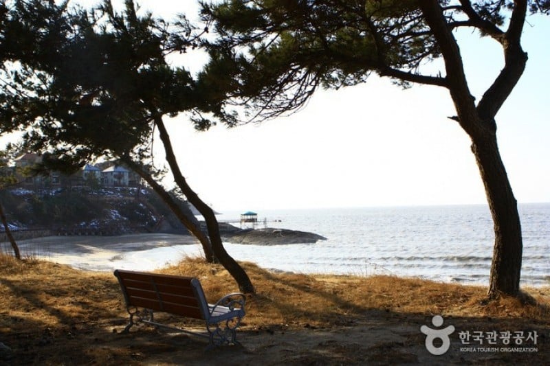 Jeungdo Island [A Slow City]  (5/10)