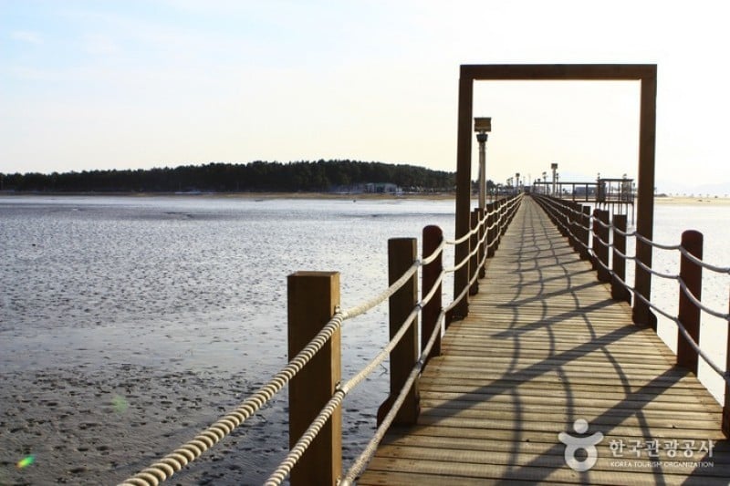 Jeungdo Island [A Slow City]  (6/10)