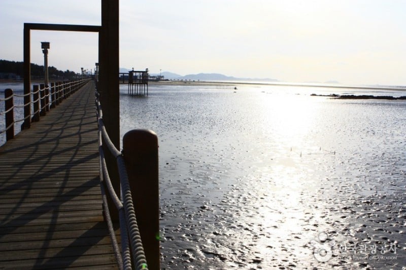 Jeungdo Island [A Slow City]  (7/10)