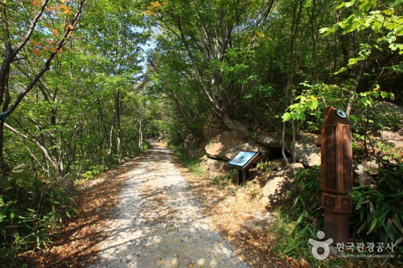 Piagol Valley  (1/5)