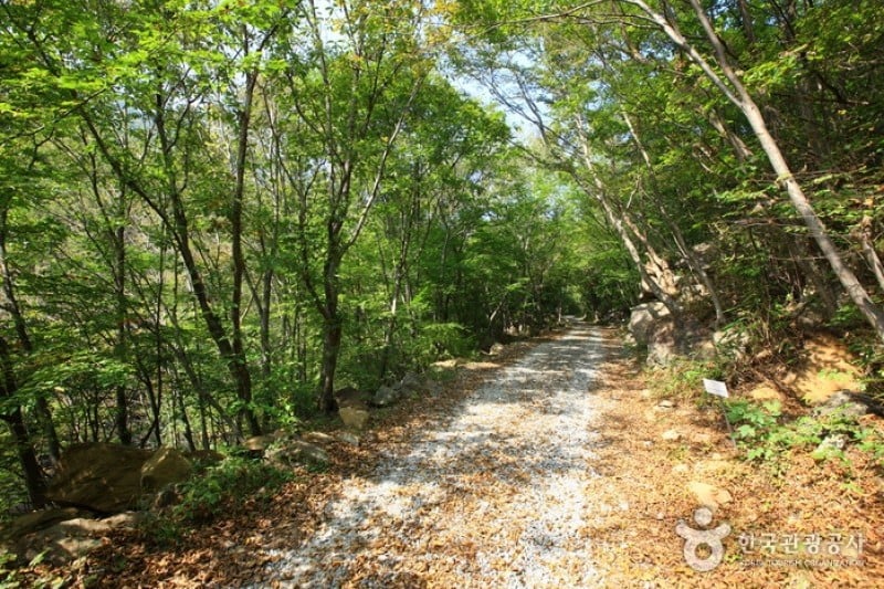 Piagol Valley  (2/5)