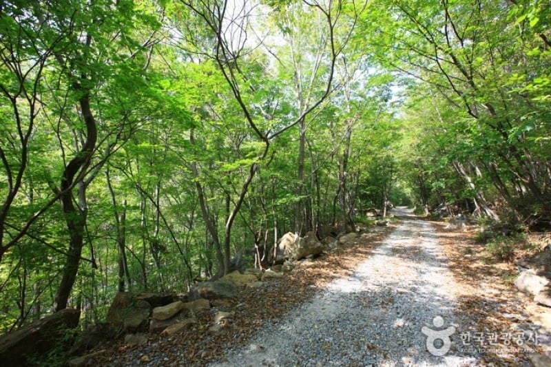 Piagol Valley  (3/5)
