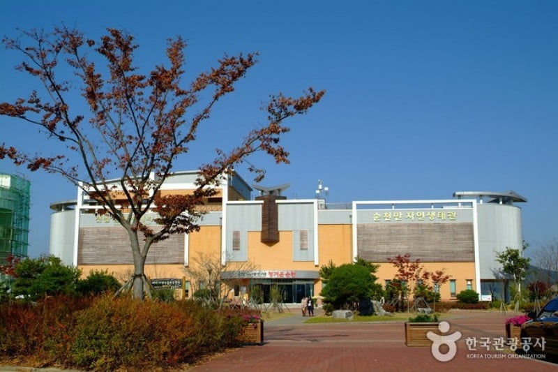 Suncheonman Bay Eco-Museum  (1/9)