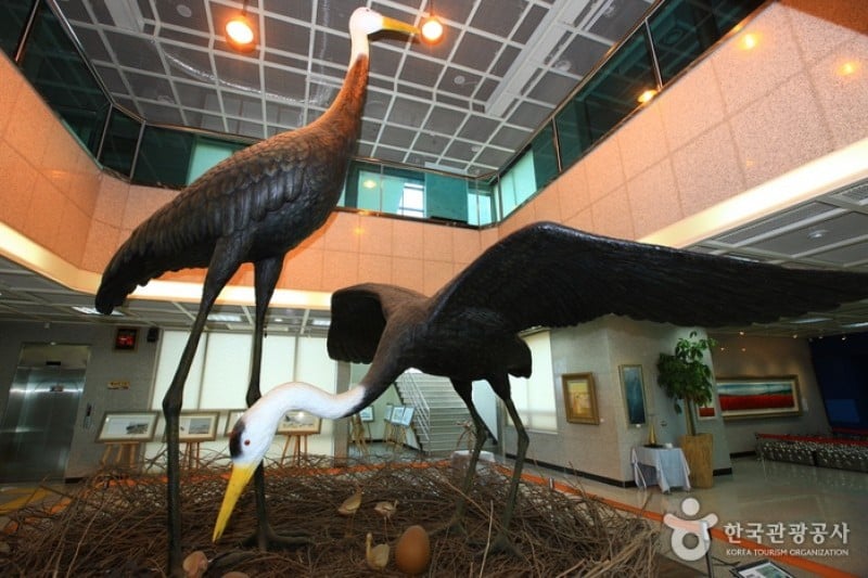 Suncheonman Bay Eco-Museum  (3/9)