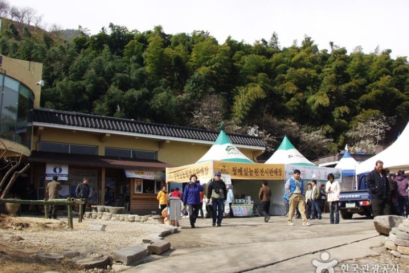 Gwangyang International Maehwa Festival  (5/14)