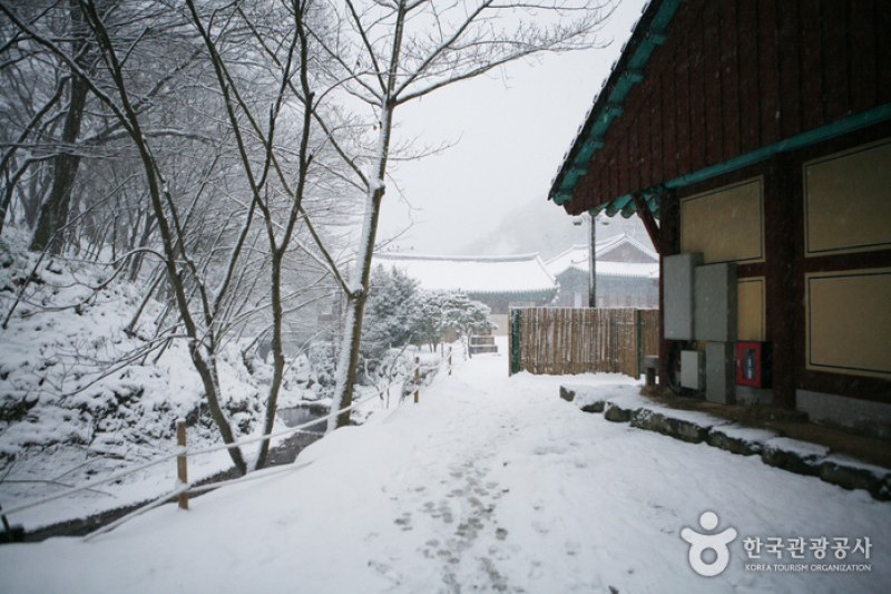 Daeheungsa Temple  (25/34)