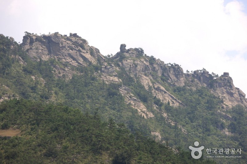 Bigeumdo Island  (2/8)