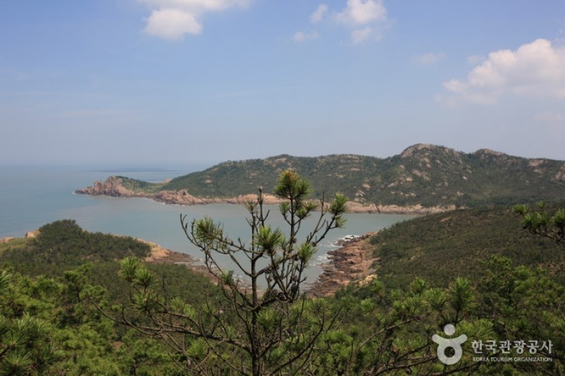 Bigeumdo Island  (8/8)