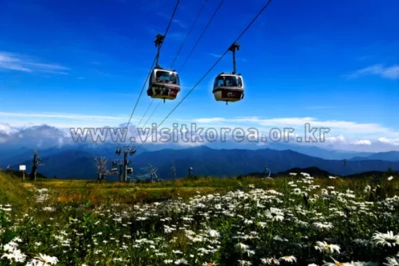 Duryunsan Cable Car  (1/22)