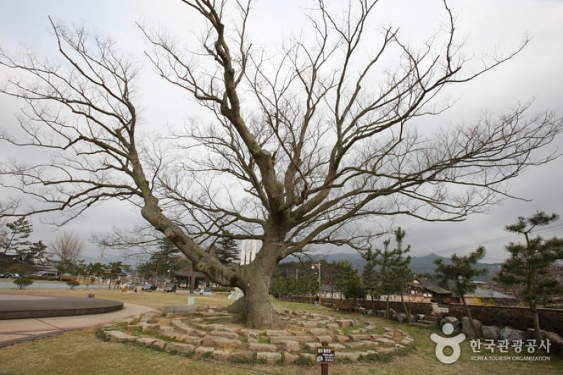 Yeongam Pottery Museum  (11/13)