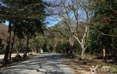 Duryunsan Provincial Park 