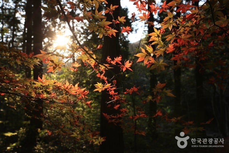 Duryunsan Provincial Park  (42/52)